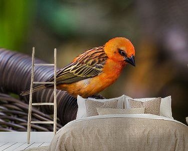 Aperçu de la chambre