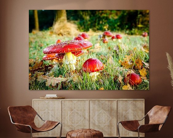 Aperçu de la chambre