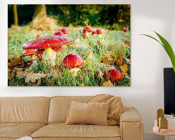 Aperçu de la chambre