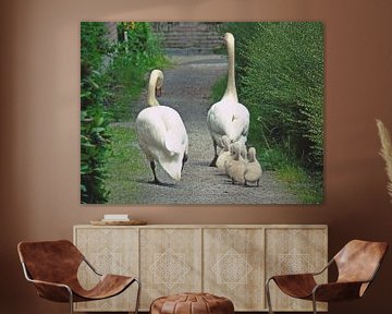 Walking swan family by Anita van Gendt