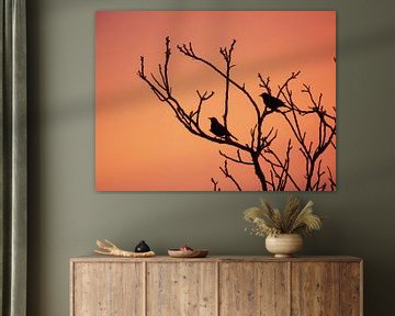 Silhouet van vogels in boom van Anita van Gendt