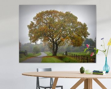 Landschap