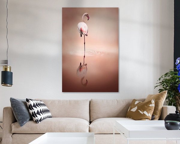 Flamingo reflection