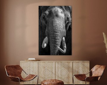Aziatische olifant met grote slagtanden van Sjoerd van der Wal
