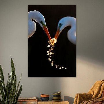 Liebe (gesehen bei vtwonen) von Marc Costermans