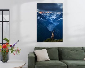 Sein Königreich – Chamonix, Frankreich von Sven Broeckx
