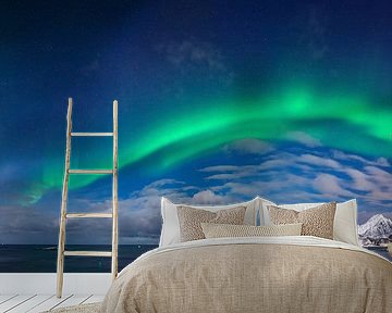 Aurora borealis - Polarlicht Lofoten von Wojciech Kruczynski