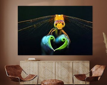 Dragonfly show love heart sur Yuan Minghui