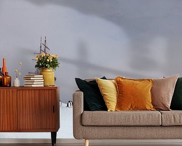 Antarctica - Adelie penguins meet Bark Europa van ad vermeulen