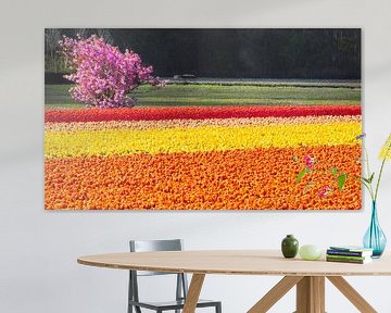 orange yellow red tulips sur Barend Koper