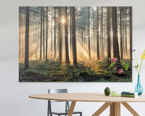 Aperçu de la chambre