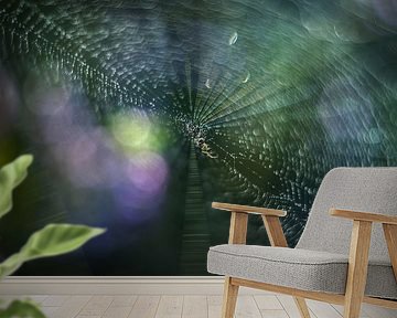 Eine sehr kleine Spinne