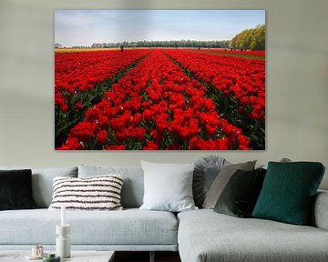 Rode tulpen van Ad Jekel