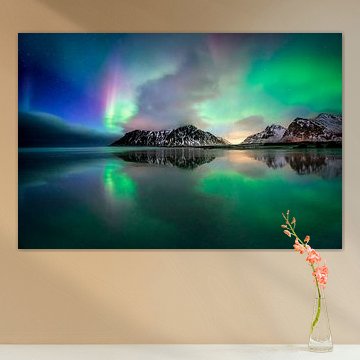 Vogel van Skagsanden