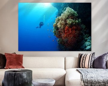 Diver next to the reef by Jaap Voets