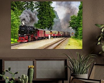 Train à vapeur dans le Harz