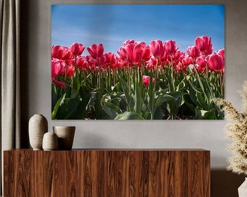 Roze tulpen van Ad Jekel