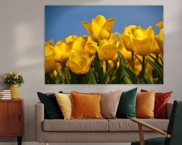 Gele tulpen tegen blauwe lucht van Ad Jekel