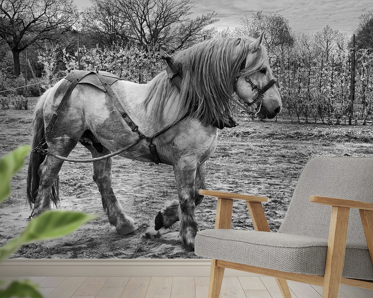 Raumvorschau