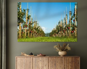 Foto van een appelboomgaard laag bij de grond genomen von Natascha Teubl