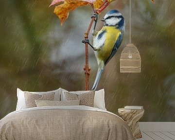 Blue tit and umbrella by Menno Schaefer