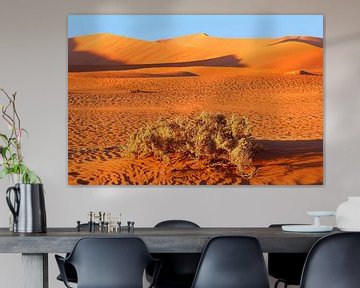 Namib-Wüste im Morgenlicht von Inge Hogenbijl