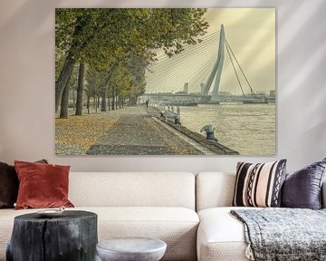 Herfst in Rotterdam van Henri van Avezaath