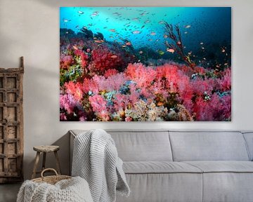Jardin de corail rose