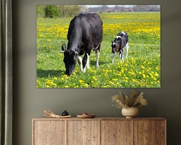 Moeder koe met pasgeboren kalf in wei met paardenbloemenen van Ben Schonewille