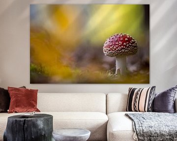 Fly agaric by Gonnie van de Schans