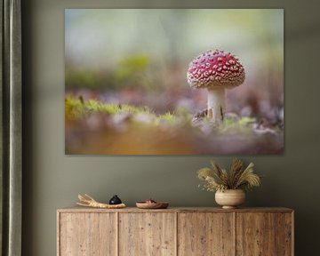 Fly agaric in the forest. by Gonnie van de Schans