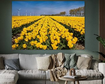 Tulpen veld, geel van Ad Jekel