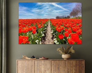 Veld met pad tussen rode tulpen en blauwe lucht van Ben Schonewille