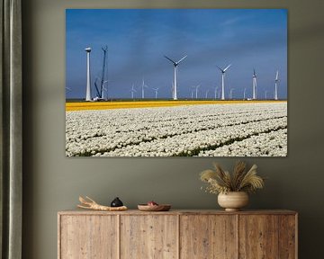 Tulpen veld, wit en gele tulpen van Ad Jekel