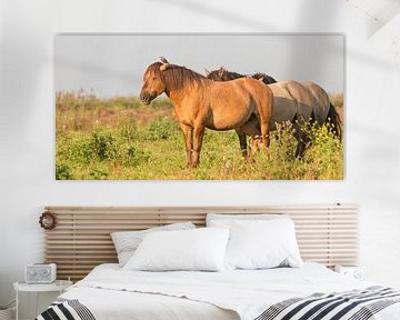 Paarden | Konikpaarden met spreeuw - Oostvaardersplassen  van Servan Ott