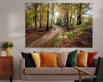 Herbstlandschaft Veluwe bei Garderen von Fotografiecor .nl