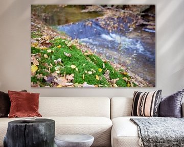 Flowing water in stream long shutter Dutch autumn forest by Fotografiecor .nl