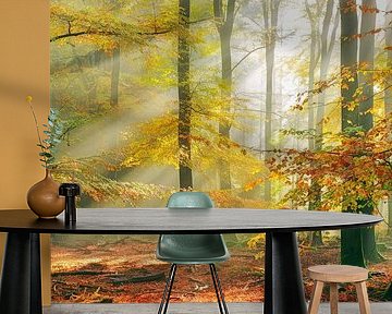 Sinfonia della Foresta by Lars van de Goor