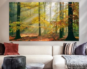 Sinfonia della Foresta van Lars van de Goor