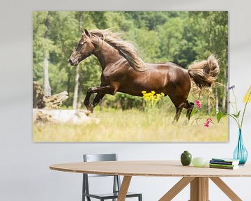 Paard in een groene omgeving van Yvette Baur