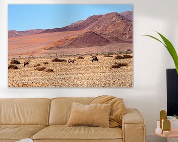 Gemsböcke Namib-Wüste