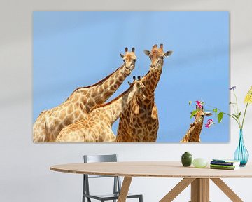 Giraffen Etosha van Inge Hogenbijl