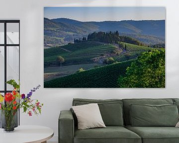 Grape vines in Tuscany by Marc Vermeulen