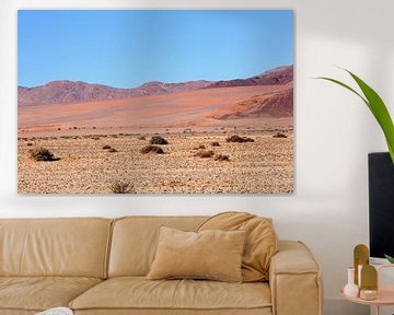 Kleurschakeringen Namib van Inge Hogenbijl