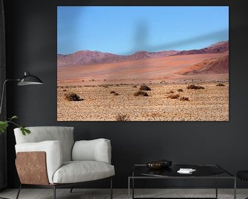 Kleuren van de Namib