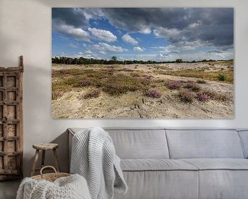 Heath field with cloud sky by Martin Stevens