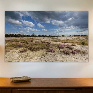 Heidefeld mit Wolkenhimmel