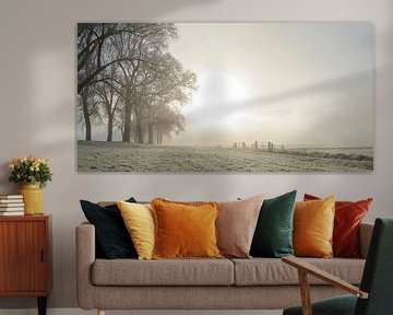 Horizontal givré d'hiver pendant un matin brumeux sur Sjoerd van der Wal Photographie
