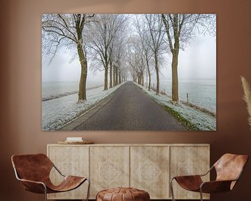 Road through a frosty winter landscape during a misty morning by Sjoerd van der Wal Photography