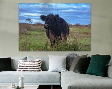 Cow on Texel by Dick Hooijschuur